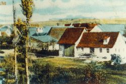 Bild Horb Neu 3