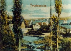 Eine Postkarte Von Horb Am Main